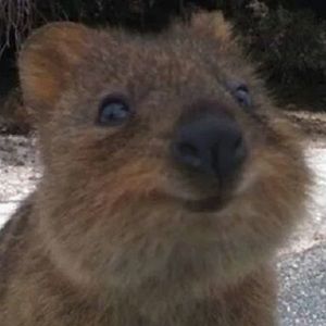 Meet your Posher, Stacie